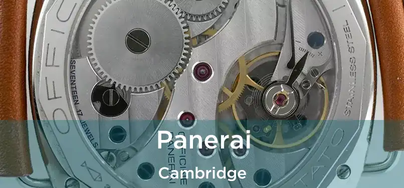  Panerai Cambridge